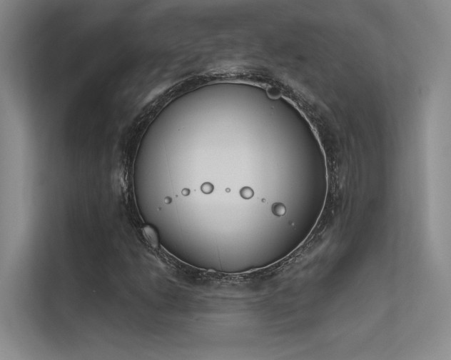 X0000113361206200909151228