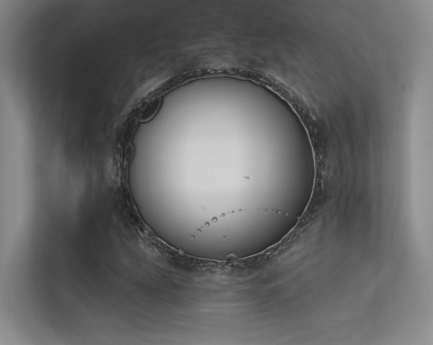 X0000113361207200909151228