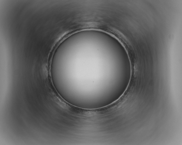 X0000113361212200909151228