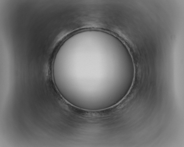 X0000113361215200909151228