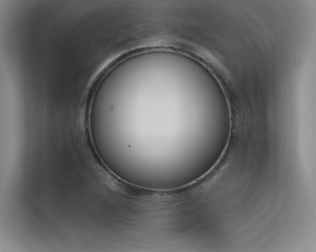 X0000113361216200909151228
