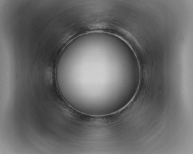 X0000113361217200909151228
