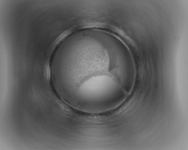 X0000113361221200909151228