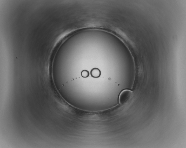 X0000113361222200909151228