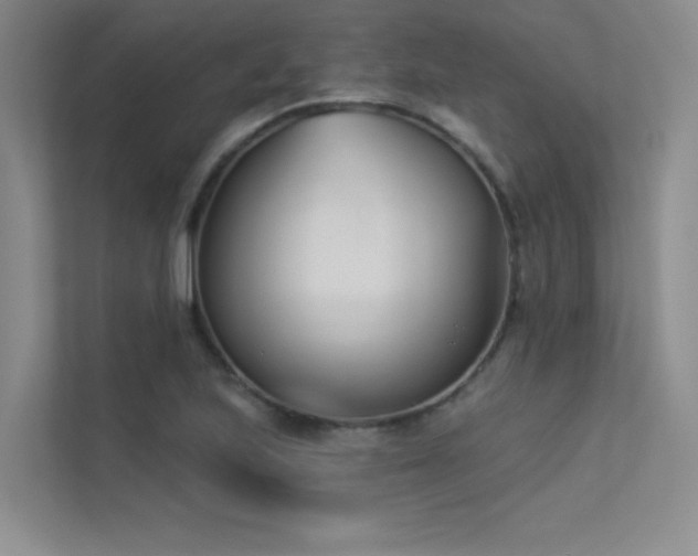 X0000113361223200909151228