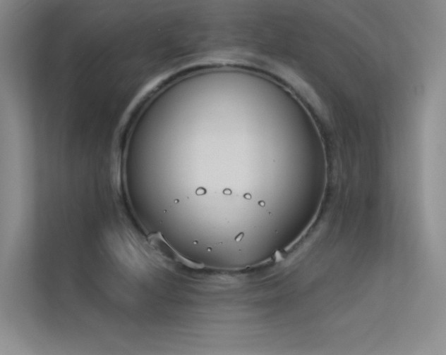 X0000113361224200909151229