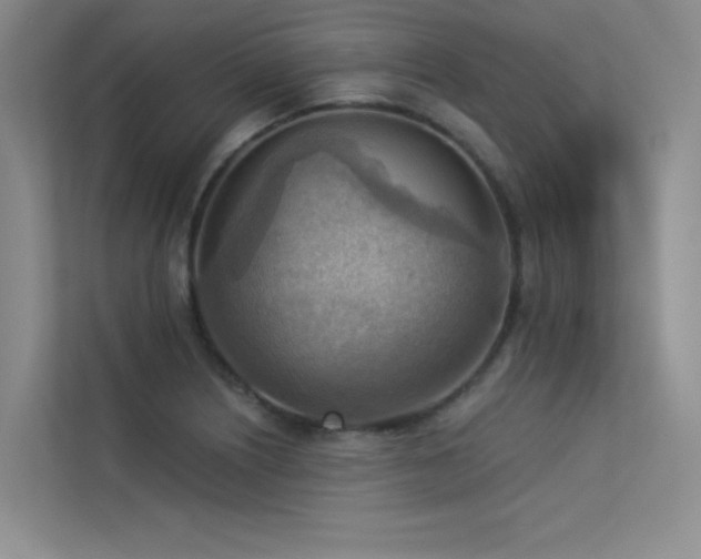X0000113361226200909151229