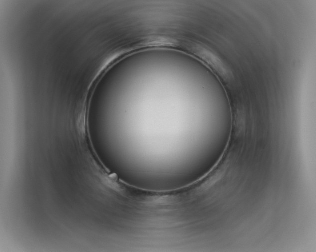 X0000113361228200909151229