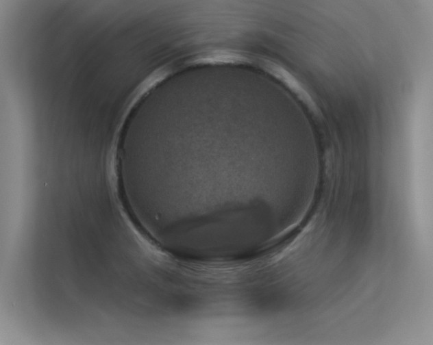 X0000113361229200909151229