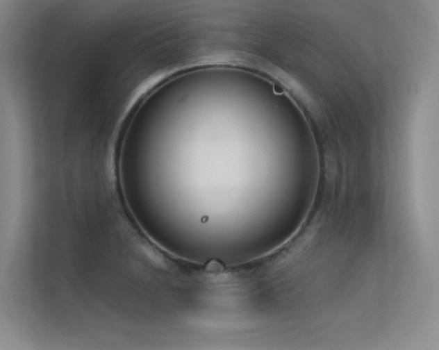 X0000113361230200909151229