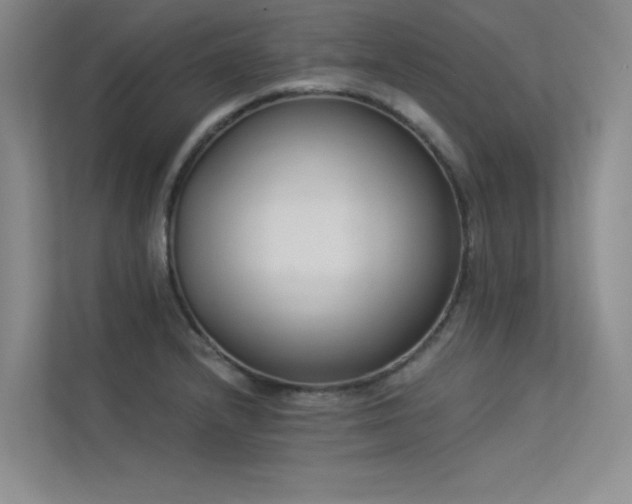 X0000113361232200909151229