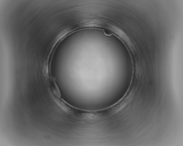 X0000113361234200909151229