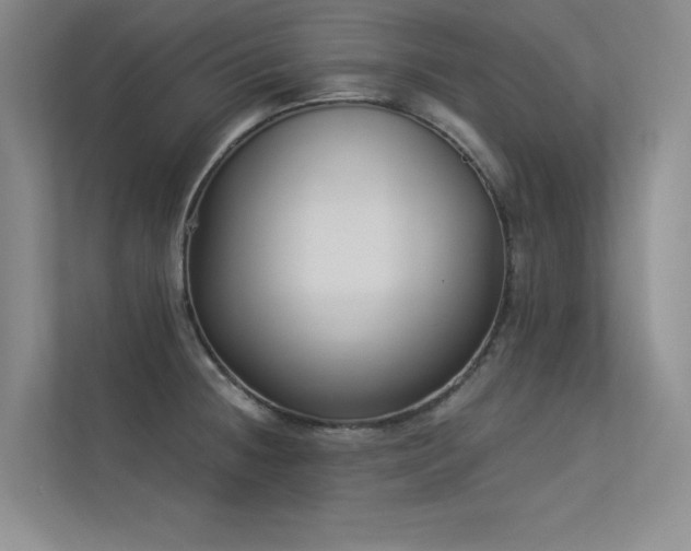 X0000113361236200909151229