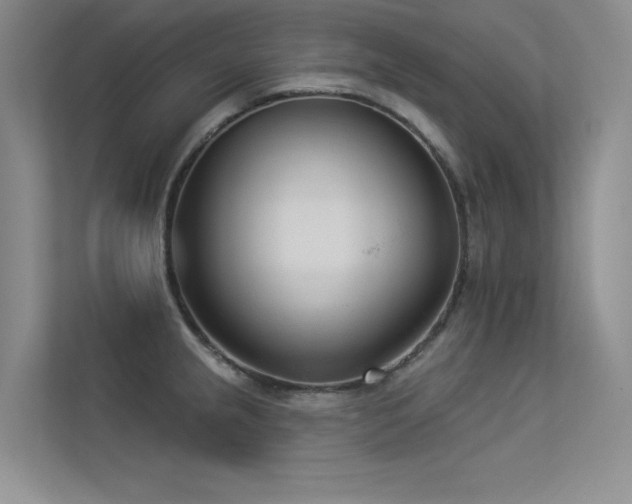 X0000113361237200909151229