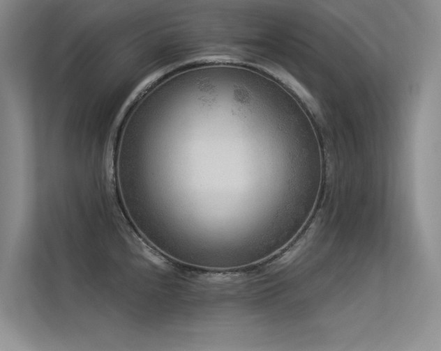 X0000113361240200909151229