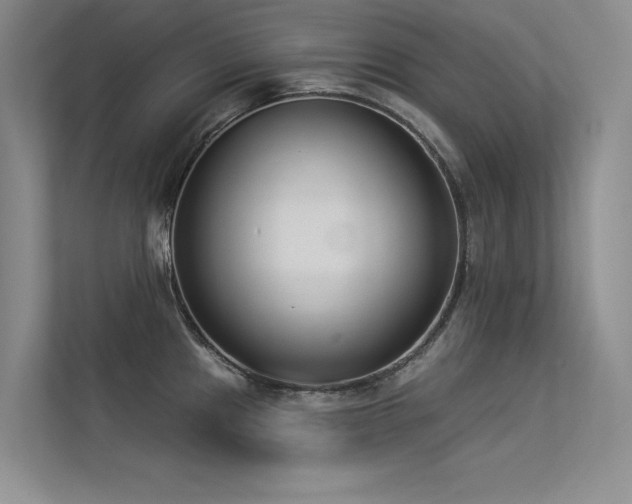 X0000113361241200909151229