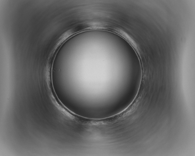 X0000113361243200909151229