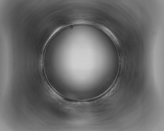 X0000113361244200909151229