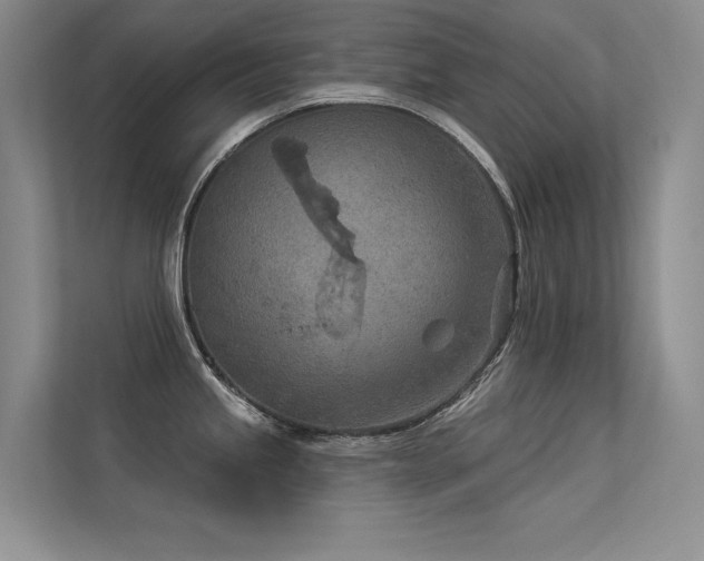 X0000113361245200909151229