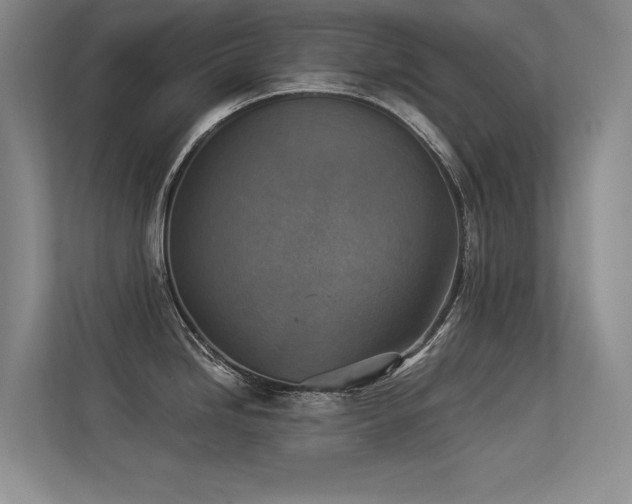 X0000113361246200909151229