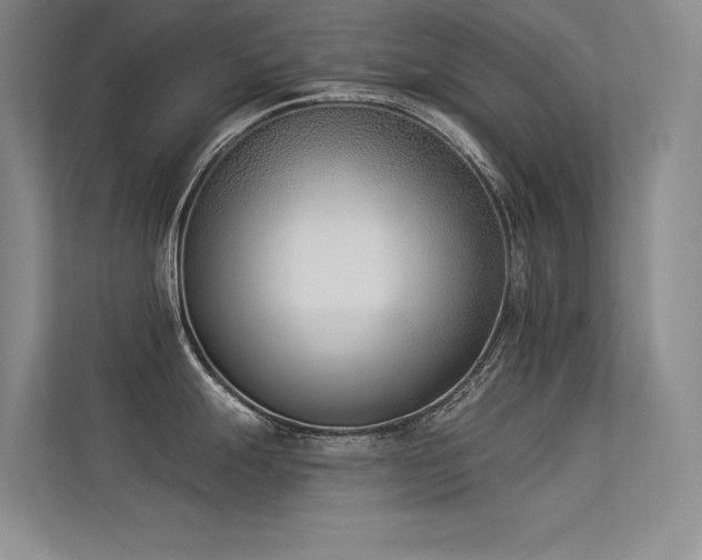 X0000113361247200909151229