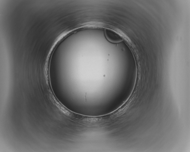 X0000113361248200909151229