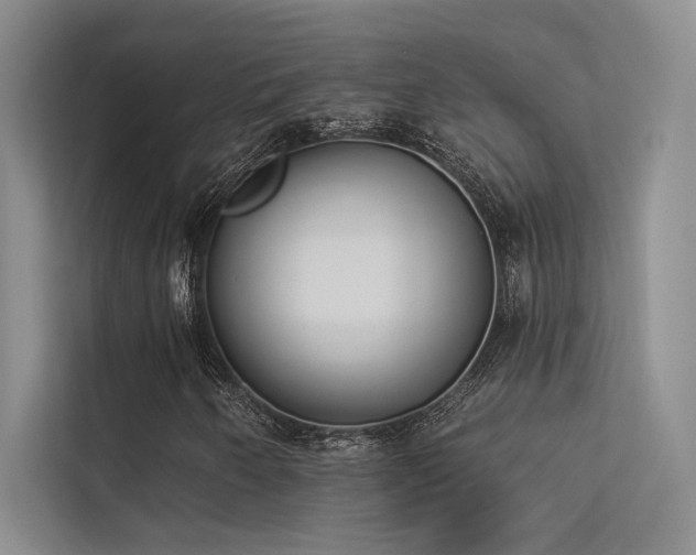 X0000113361250200909151228