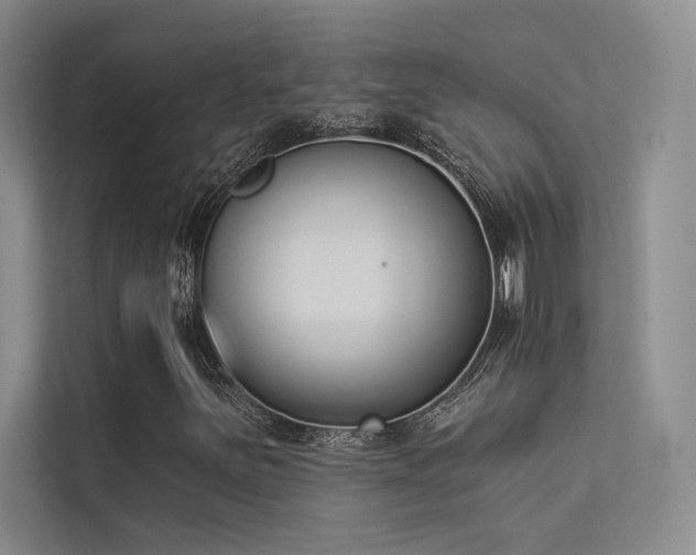 X0000113361251200909151228
