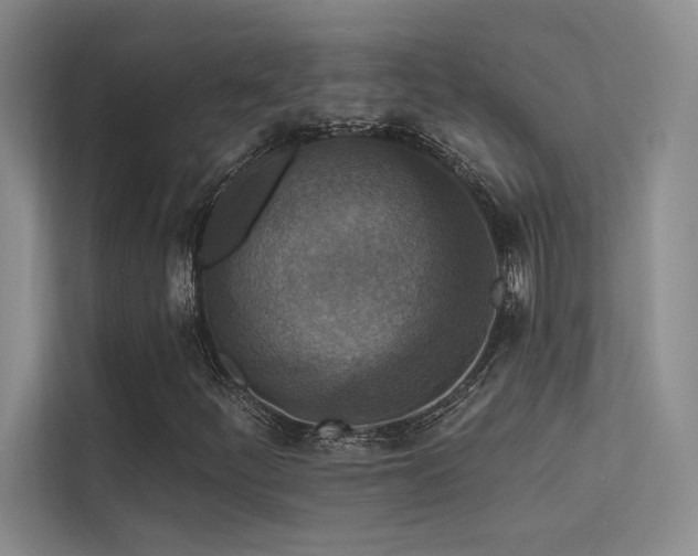 X0000113361252200909151228