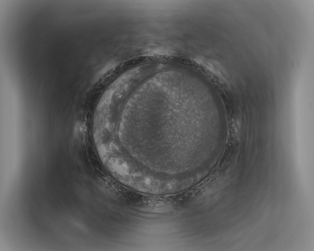 X0000113361254200909151228