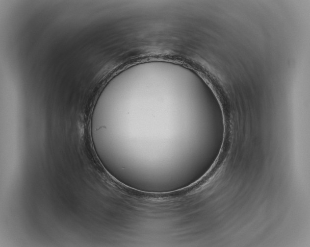 X0000113361257200909151228
