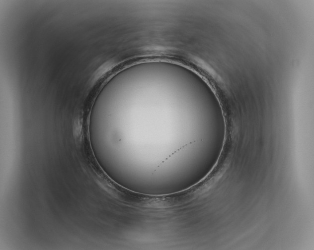 X0000113361259200909151228