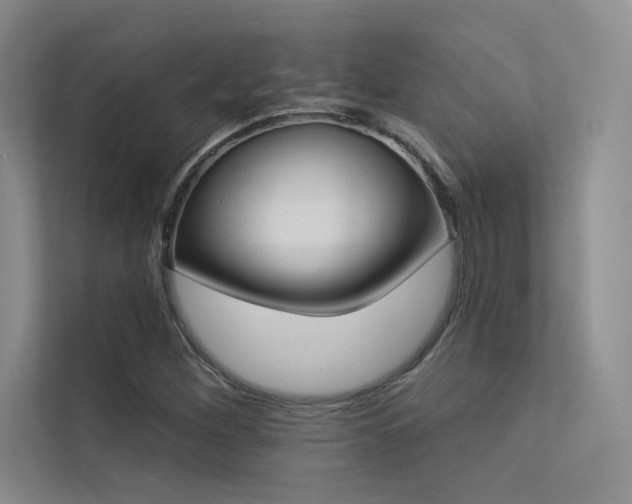 X0000113361260200909151228