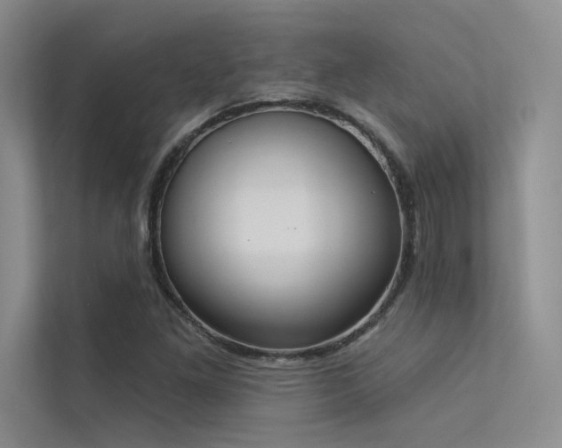 X0000113361261200909151228