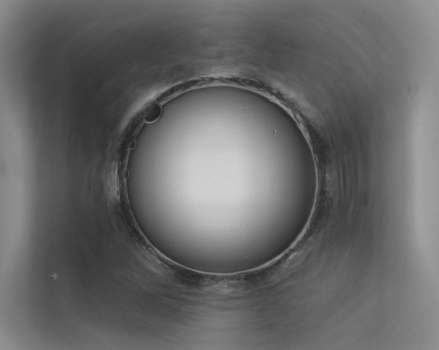 X0000113361262200909151228