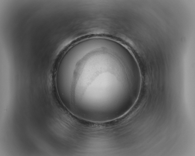 X0000113361263200909151228