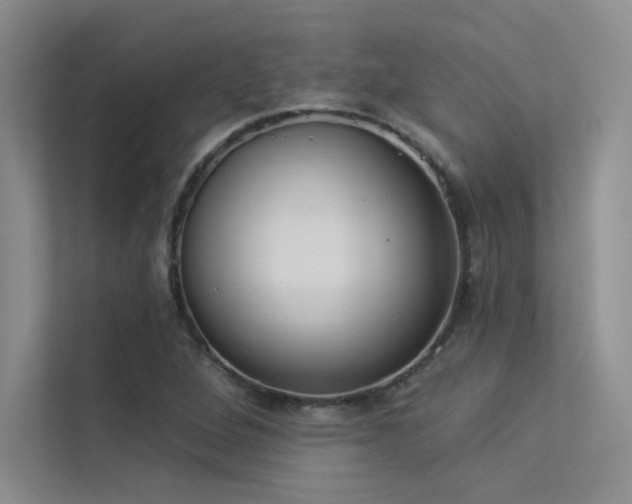 X0000113361264200909151228