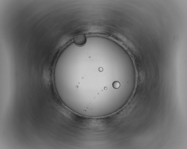 X0000113361266200909151228