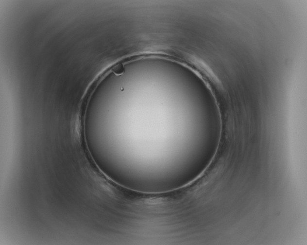 X0000113361268200909151228
