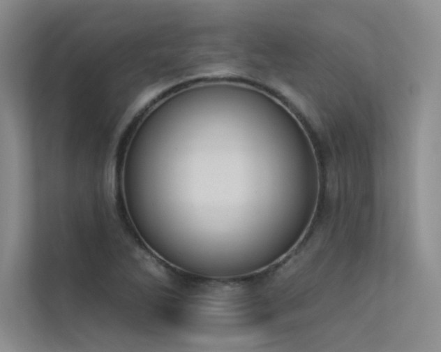 X0000113361270200909151228