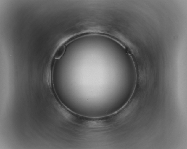 X0000113361272200909151228