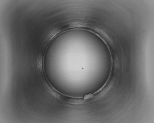 X0000113361273200909151228