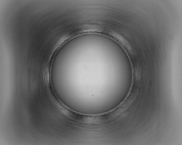 X0000113361274200909151228