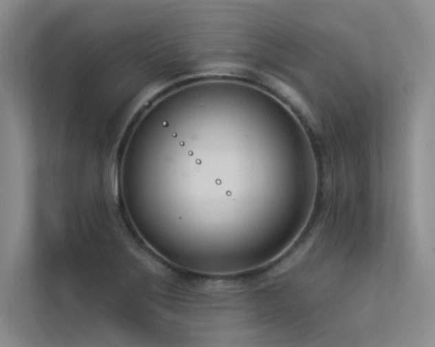 X0000113361275200909151228
