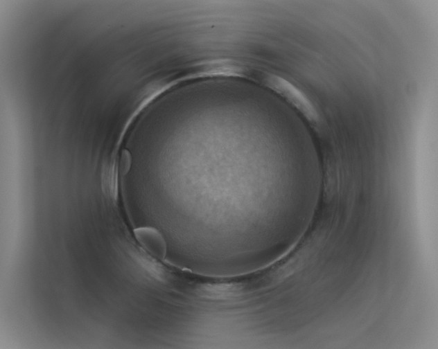 X0000113361276200909151228