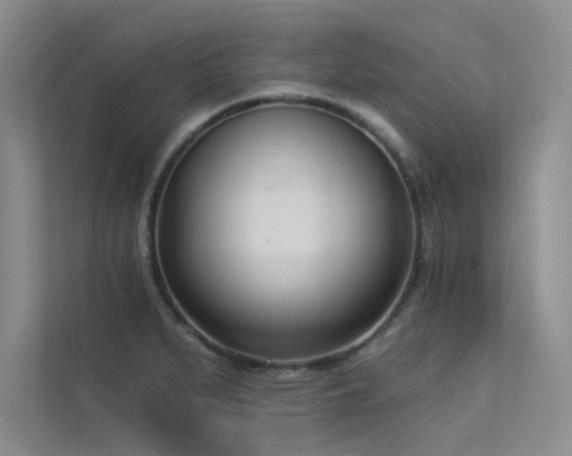 X0000113361279200909151228