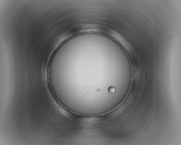 X0000113361282200909151228