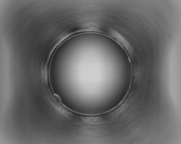 X0000113361284200909151228