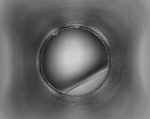 X0000113361285200909151228