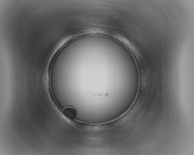 X0000113361286200909151228